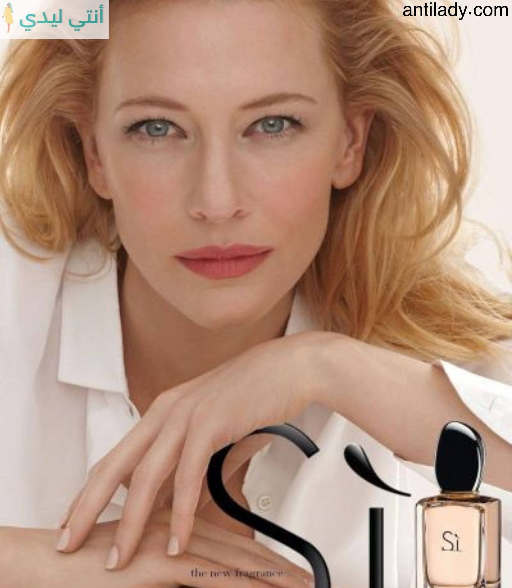 https://antilady.com/عطر si الاحمر افضل عطور العالم/